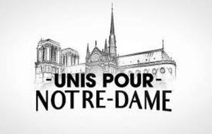 Cricket club de Lisses remporte le tournoi de Notre-Dame de Paris 